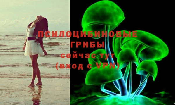 гидра Алзамай