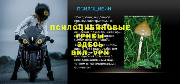 стаф Алексеевка